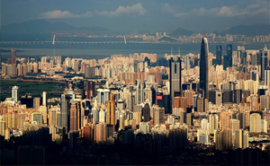 深圳市城建梅园实业有限公司仓库出租管理系统成功上线