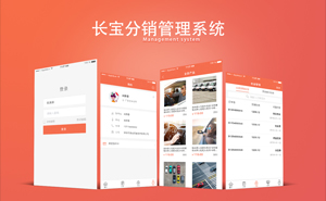 长宝分销管理系统