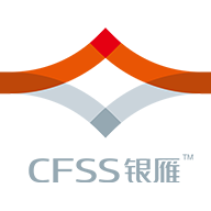 深圳市银雁金融服务有限公司